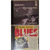 2 CD's Muddy Waters